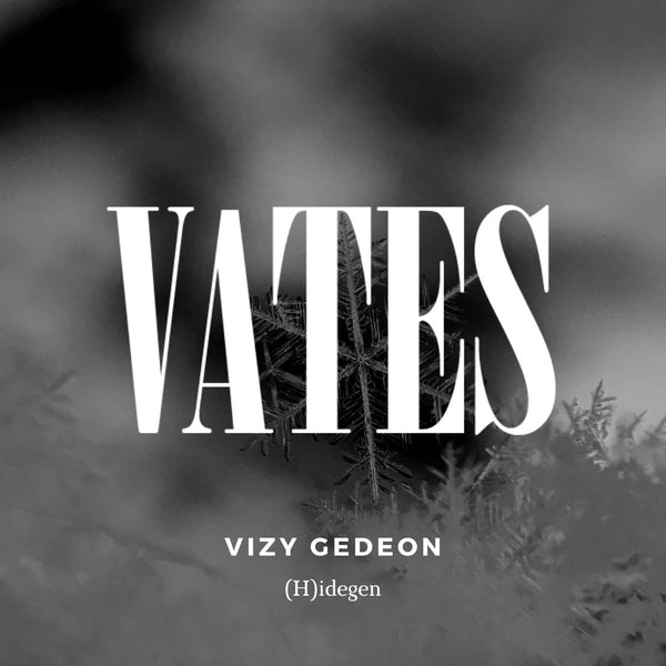 Vizy Gedeon- (H)idegen