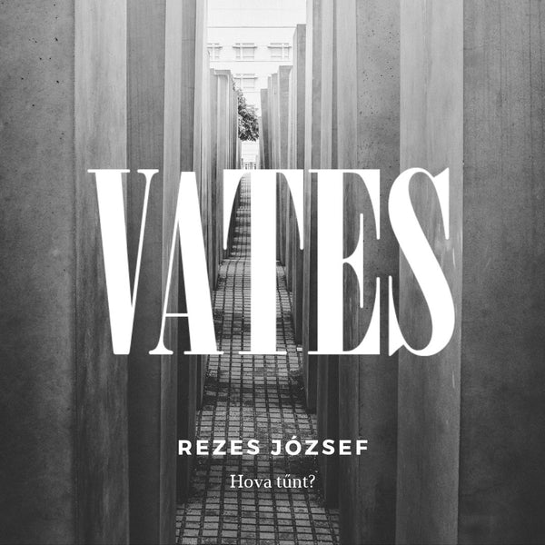 Rezes József - Hova tűnt? (vers)