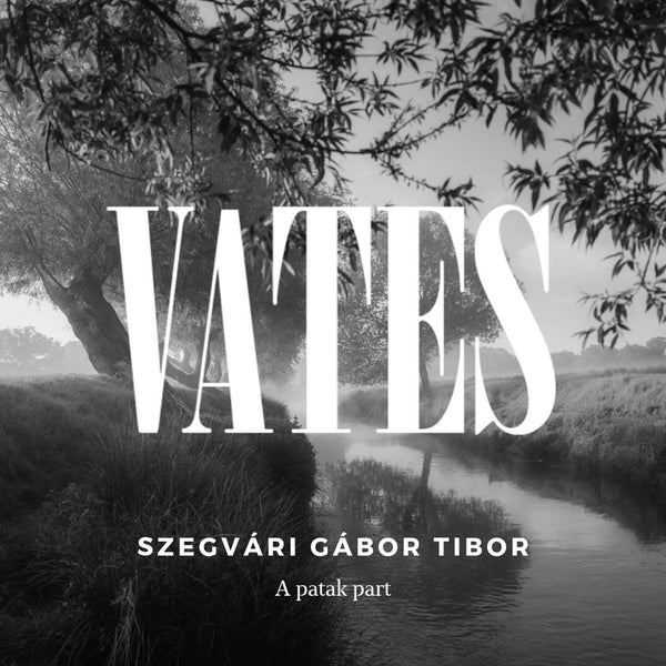 Szegvári Gábor Tibor - A patak part